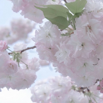 兽设火山场景创作兽圈群